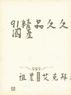 91精品久久久国产