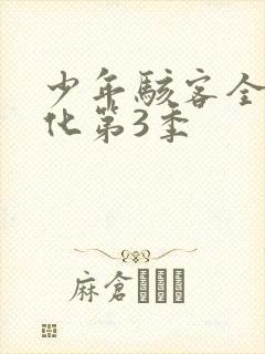 少年骇客全面进化第3季