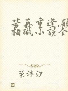 若再重逢,愿不相识小说全文