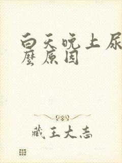 白天晚上尿频什么原因封面