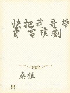 快把我哥带走免费 电视剧