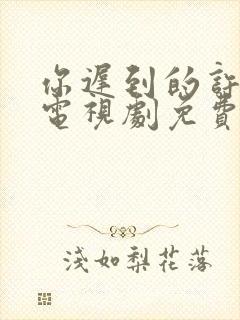 你迟到的许多年电视剧免费观看全集