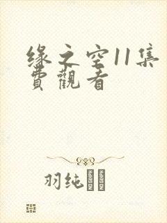 缘之空11集免费观看