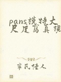 pans模特大尺度写真视频