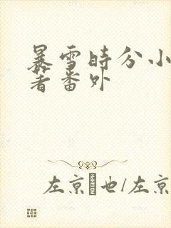 暴雪时分小说原著番外