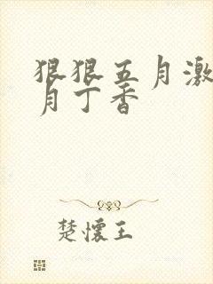 狠狠五月激情六月丁香
