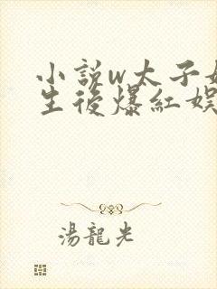 小说w太子妃重生后爆红娱乐圈》