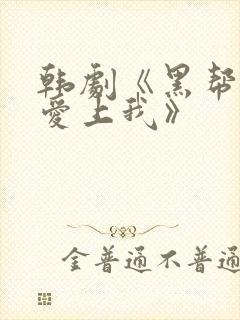 韩剧《黑帮大佬爱上我》封面