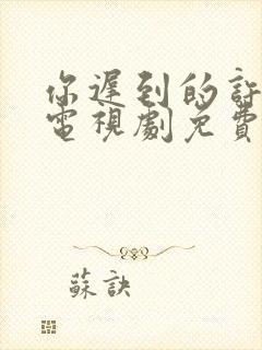 你迟到的许多年电视剧免费完整版