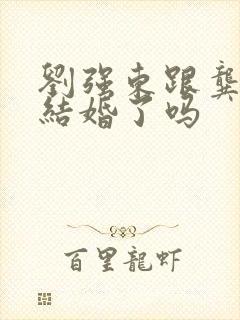 刘强东跟龚晓京结婚了吗封面