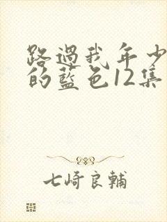 路过我年少时光的蓝色12集免费观看封面