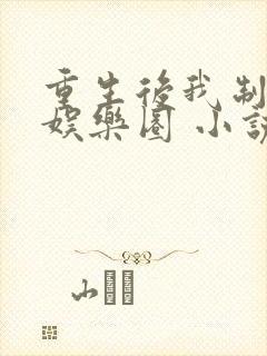 重生后我制霸了娱乐圈 小说