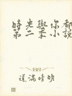 时光与你都很甜第二季小说封面