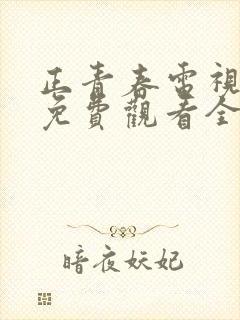 正青春电视剧剧免费观看全集