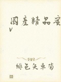 国产精品蜜臀av封面