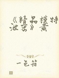 《精品模特私拍泄密》黄封面