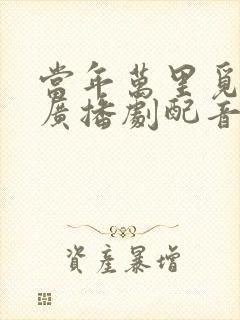 当年万里觅封侯广播剧配音演员