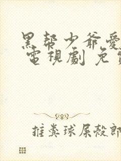 黑帮少爷爱上我 电视剧 免费观看