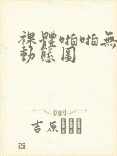 裸体啪啪无遮挡动态图