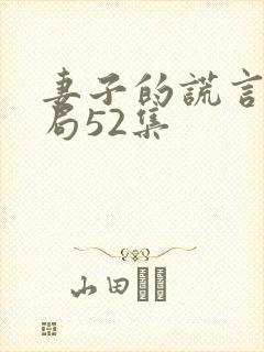 妻子的谎言大结局52集