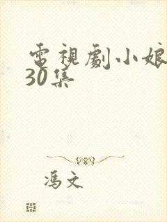 电视剧小娘惹第30集