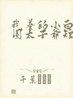 我养的小白脸京圈太子爷短剧