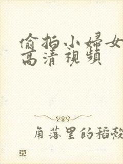 偷拍小妇女撒尿高清视频