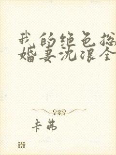 我的绝色总裁未婚妻沈浪全本