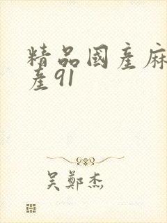 精品国产麻豆国产91封面