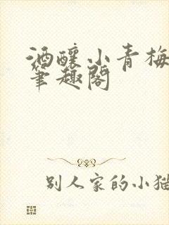 酒酿小青梅po笔趣阁