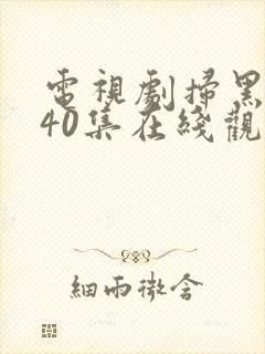 电视剧扫黑风暴40集在线观看免费