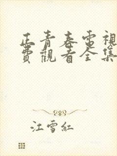 正青春电视剧免费观看全集6