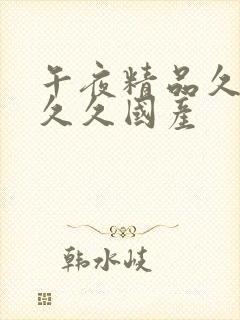 午夜精品久久久久久国产