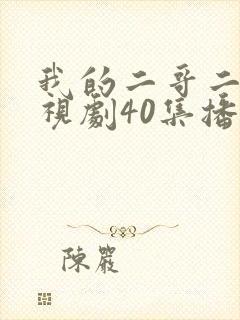 我的二哥二嫂电视剧40集播放封面