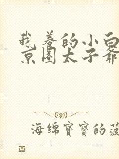 我养的小白脸是京圈太子爷主演