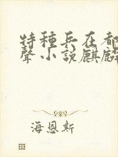 特种兵在都市有声小说麒麟听书网