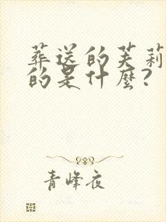 葬送的芙莉莲讲的是什么?封面