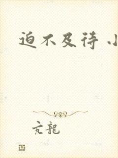 迫不及待 小穴