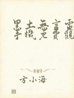黑土无言电视剧手机免费观看封面