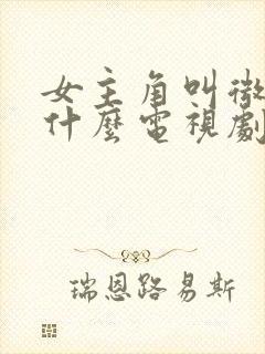 女主角叫微微是什么电视剧