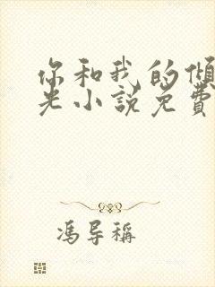 你和我的倾城时光小说免费阅读全文封面