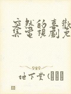 突然的喜欢13集电视剧免费播放