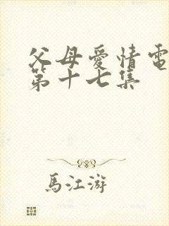 父母爱情电视剧第十七集封面