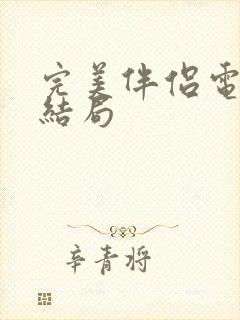 完美伴侣电视剧结局封面