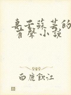 妻子苏芸的背叛 有声小说