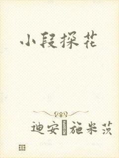 小段探花封面