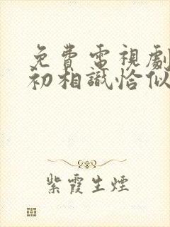 免费电视剧与君初相识恰似故人归封面