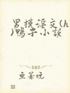 男模淫交(h高)鸭子小说