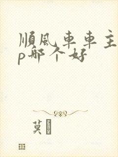 顺风车车主app哪个好封面