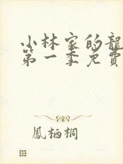 小林家的龙女仆第一季免费观看全集封面